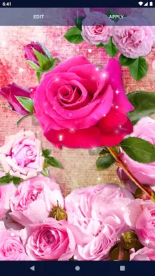 Pink Rose 4K Live Wallpaper android App screenshot 1