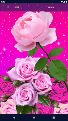 Pink Rose 4K Live Wallpaper android App screenshot 2