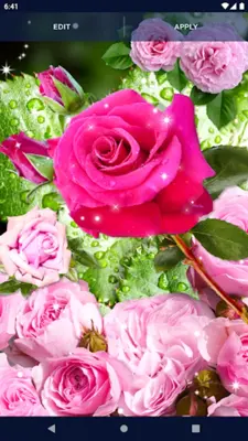 Pink Rose 4K Live Wallpaper android App screenshot 4